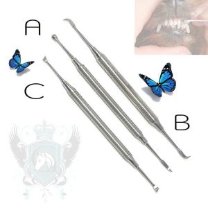 Teeth Scalers