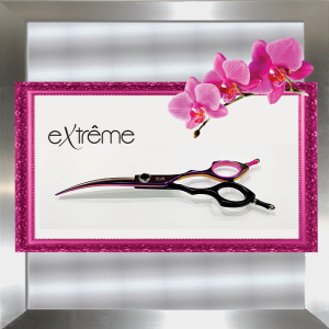 Extreme Series